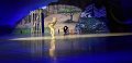 Lionking 0158